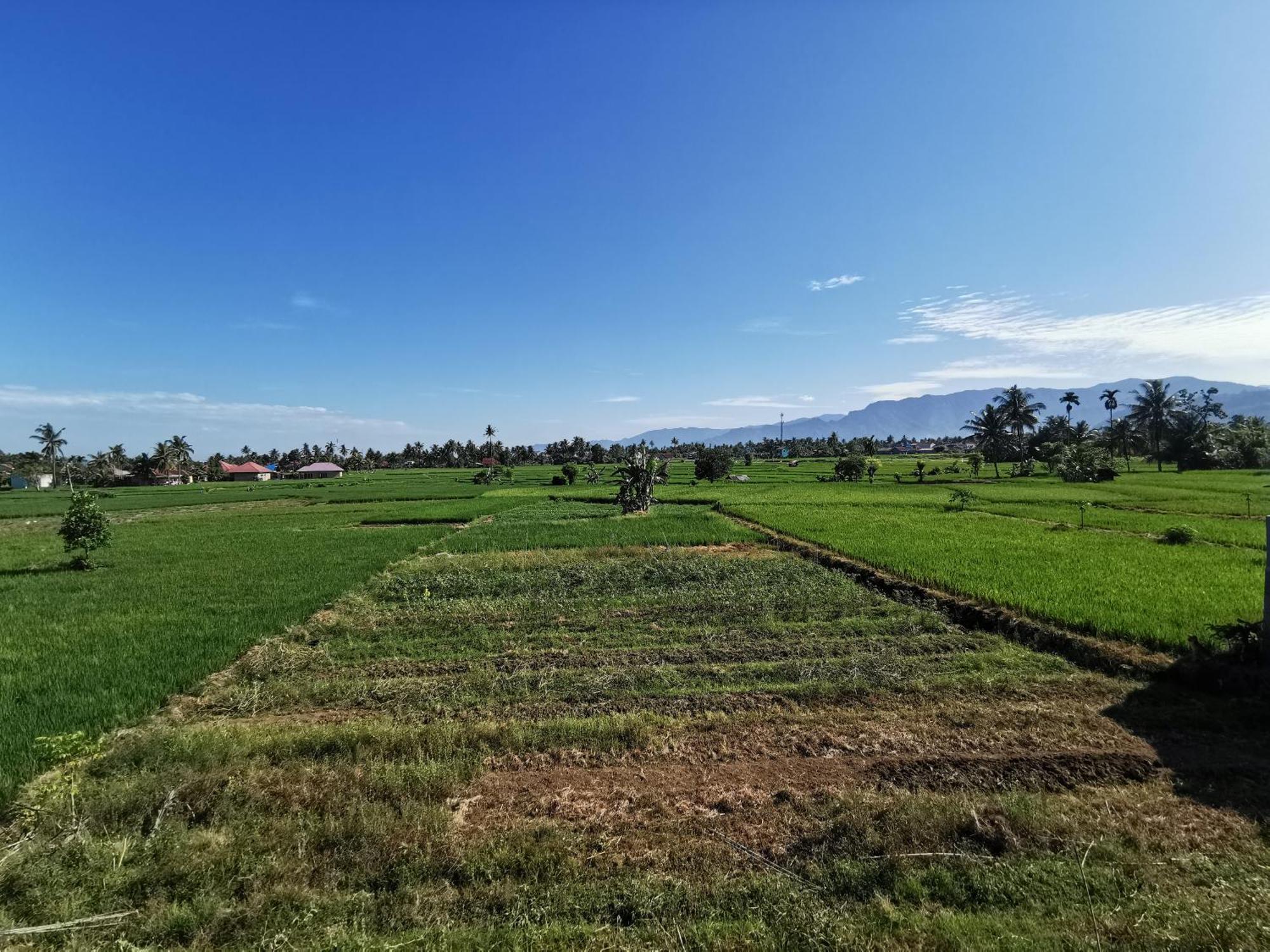 Mila Homestay Padang  Eksteriør billede